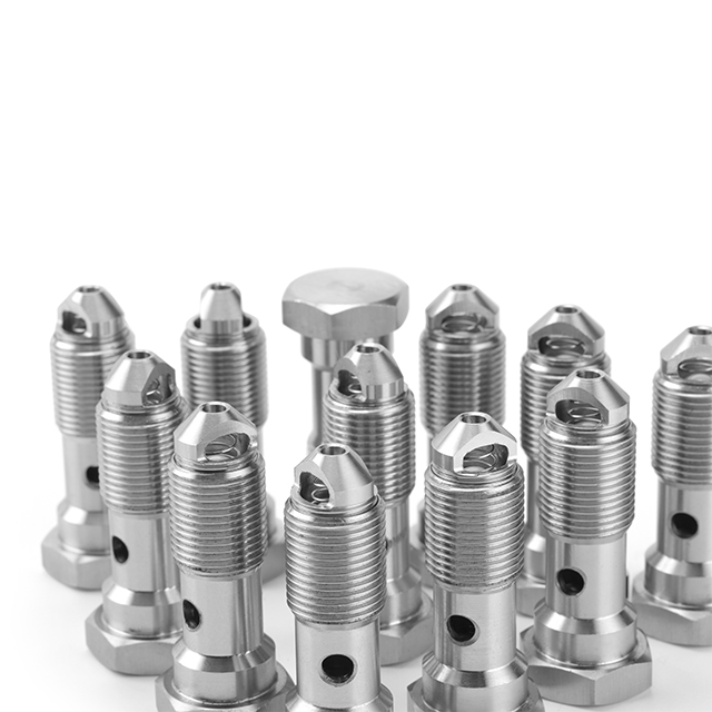 Check Valve Assembly